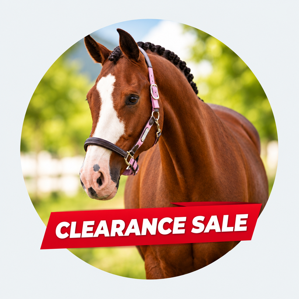 Clearance Sale - Banner Left