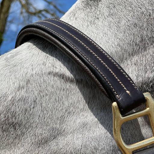 Croswell Padded Softy Leather Halter - Vision Saddlery