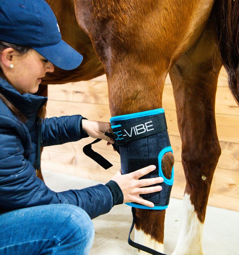 Ice Vibe Hock Wrap - Pair - Vision Saddlery