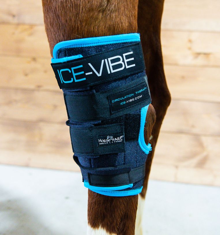 Ice Vibe Hock Wrap - Pair - Vision Saddlery