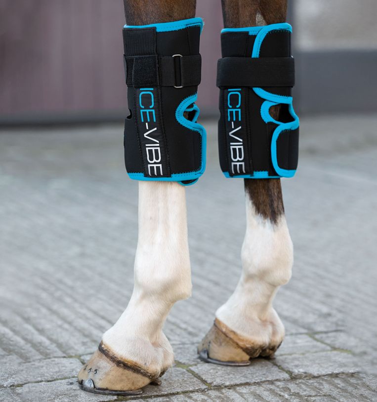 Ice Vibe Knee Wrap - Pair - Vision Saddlery