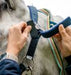 Horseware Field Safe Headcollar - 2 Colours - Vision Saddlery