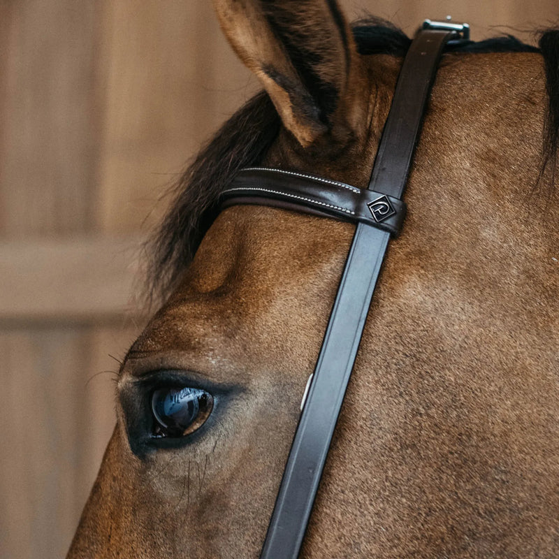 Dy'on Working Collection Training Bridle - Vision Saddlery