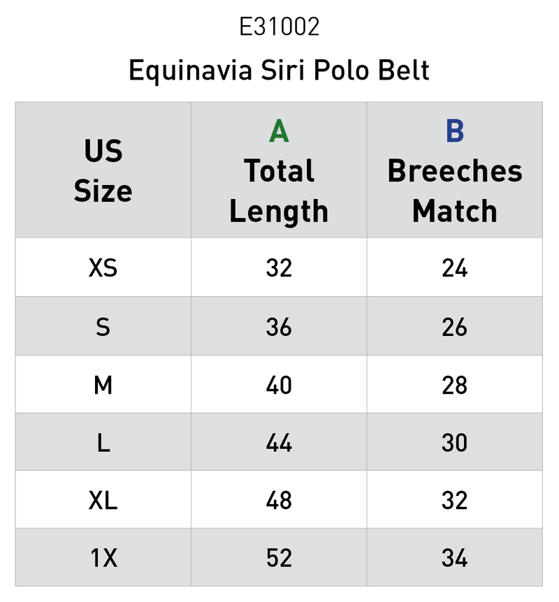 Equinavia Siri Polo Belt - VARIOUS COLOURS - Vision Saddlery