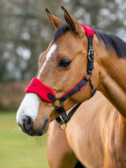 LeMieux Vogue PONY Headcollar and Leadrope - CHILLI - Vision Saddlery