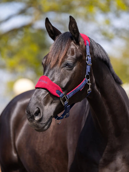 LeMieux Vogue Headcollar and Leadrope - Burgundy - Vision Saddlery