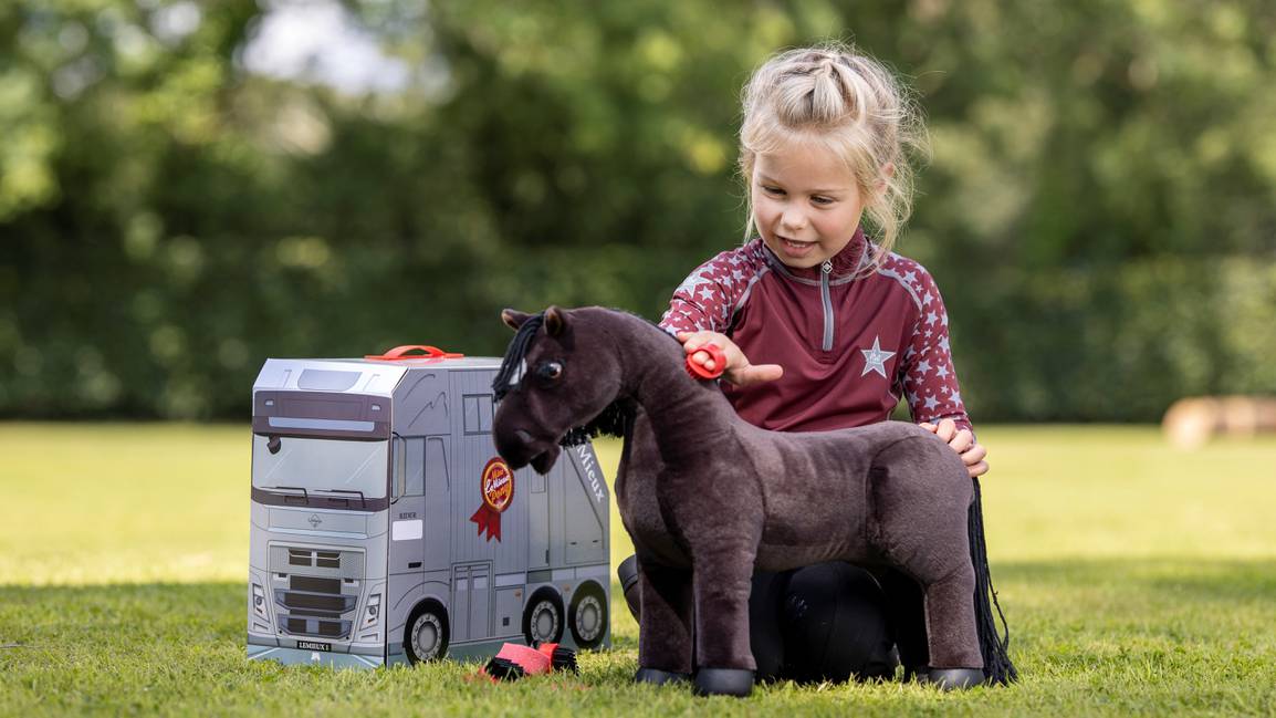 LeMieux Toy Pony Grooming Kit - Vision Saddlery