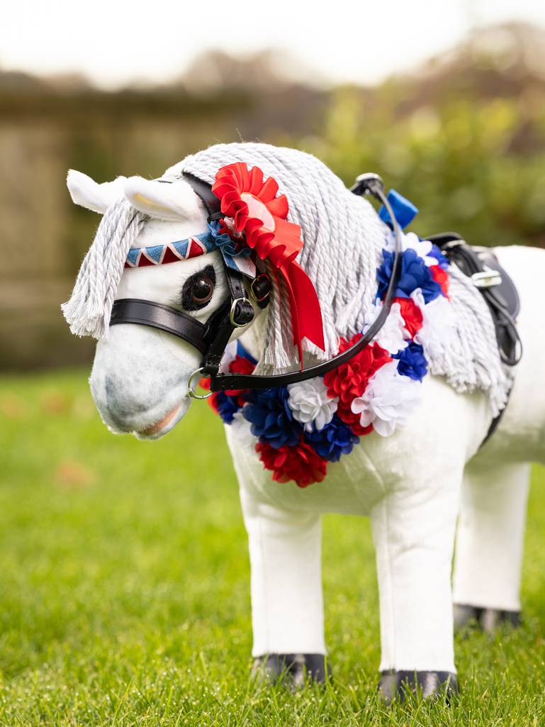 Lemieux Toy Pony Rosette Pack - Vision Saddlery