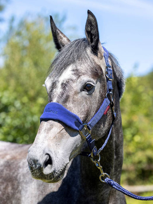 LeMieux Vogue Headcollar and Leadrope - INK BLUE