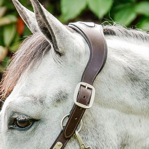 Horseware Signature Braided Halter - Vision Saddlery
