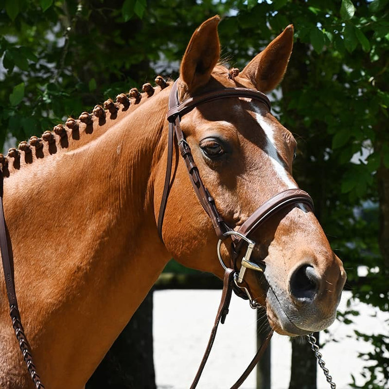 Antares Hunter Origin Anatomic Bridle