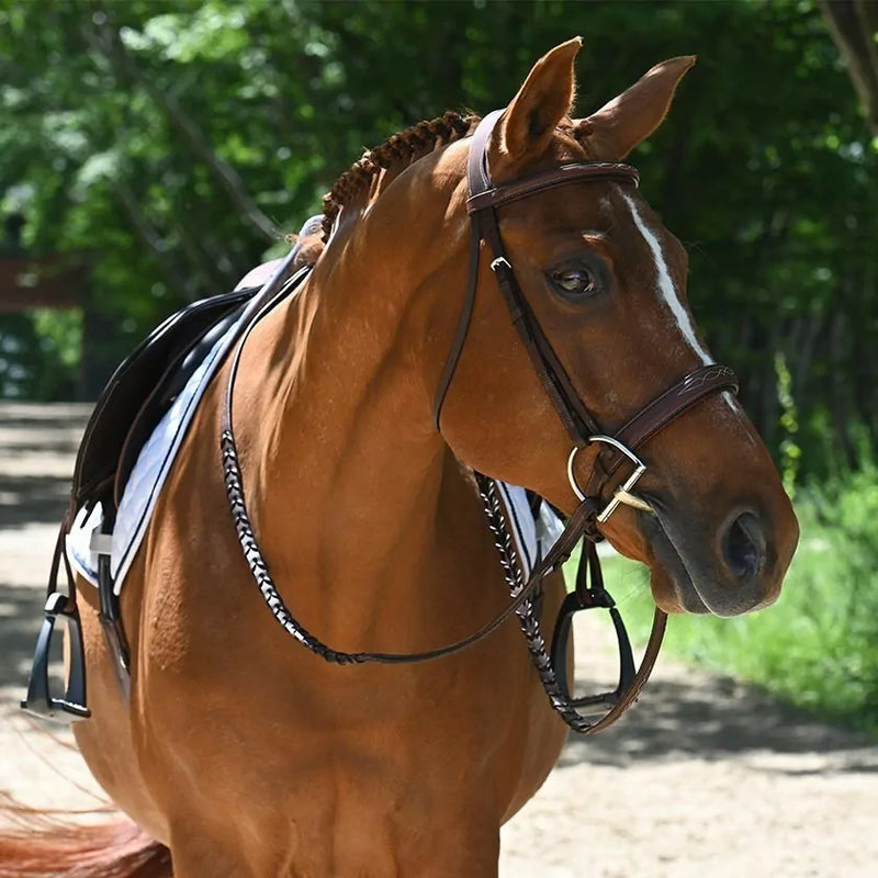 Antares Hunter Origin Anatomic Bridle
