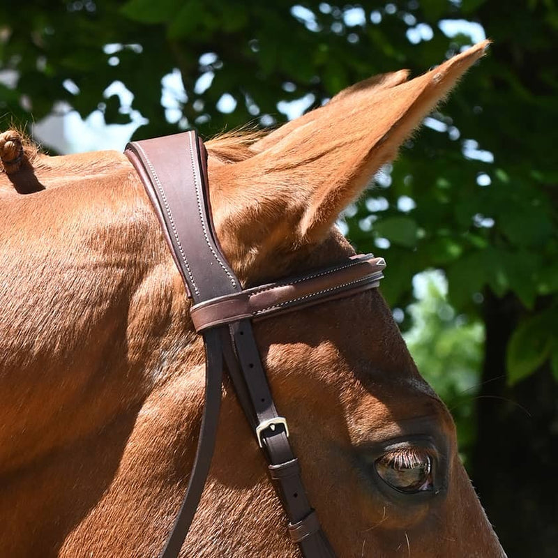 Antares Hunter Origin Anatomic Bridle