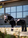 LeMieux Toy Pony Saddlepad - PINK QUARTZ - Vision Saddlery