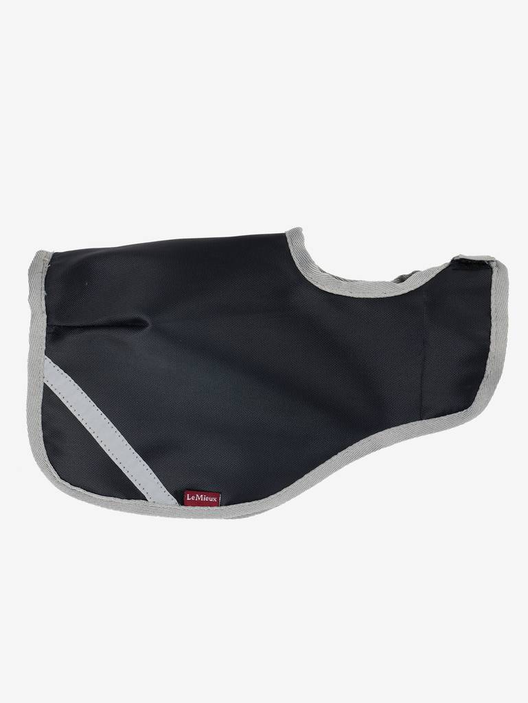 LeMieux Toy Pony Exercise Sheet - Vision Saddlery