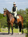LeMieux Suede Close Contact Saddle Pad - FERN - Vision Saddlery