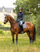 LeMieux Suede Dressage Saddle Pad - JAY BLUE - Vision Saddlery