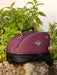 Lemieux Elite Pro Hat Box - BURGUNDY - Vision Saddlery