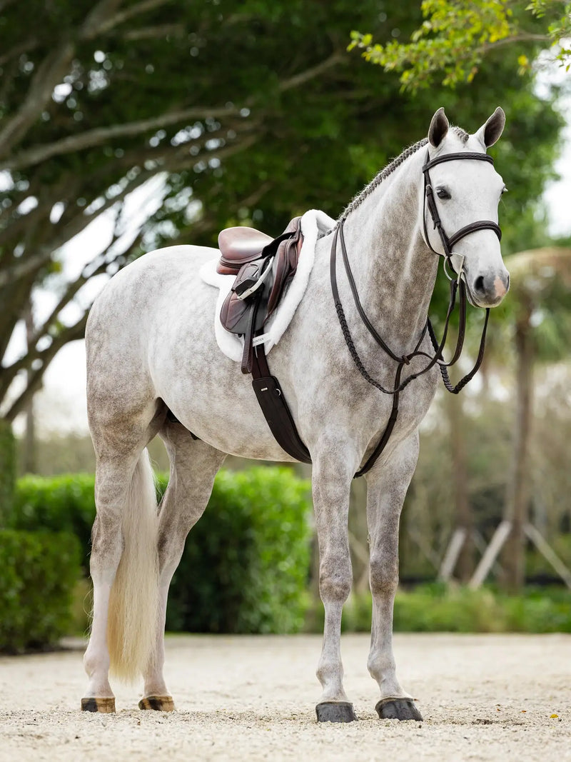 Lemieux Merino+ ProSorb Hunter Saddle Pad White - Vision Saddlery