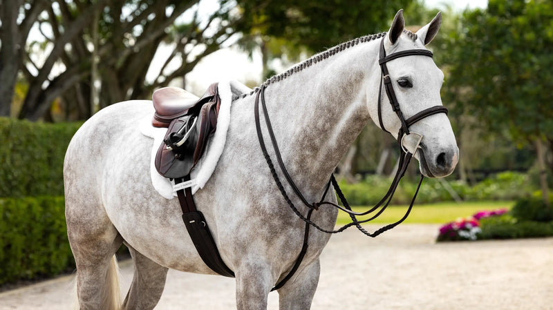 Lemieux Merino+ ProSorb Hunter Saddle Pad White - Vision Saddlery