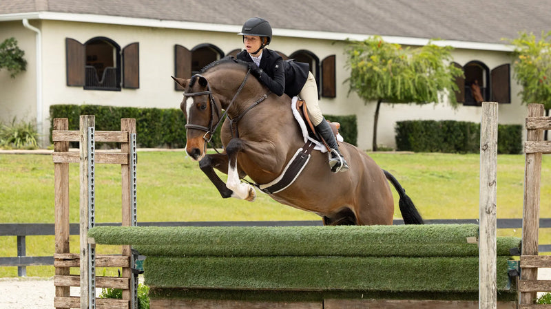 Lemieux Merino+ Hunter Saddle Pad White