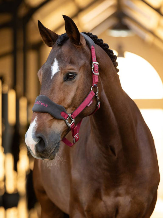 LeMieux Vogue Headcollar and Leadrope - EMBER