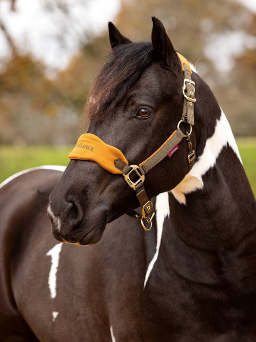 LeMieux Vogue Headcollar and Leadrope - ALPINE