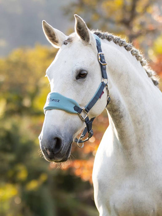 LeMieux Vogue Headcollar and Leadrope - PETROL