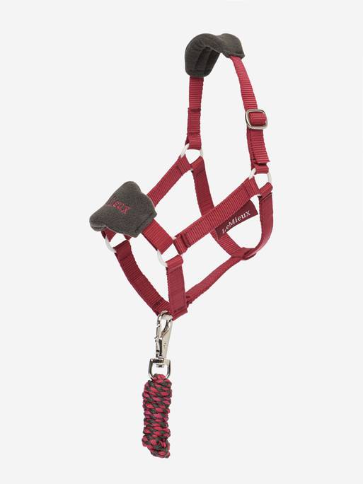 LeMieux Hobby Horse Halter - 3 Colours