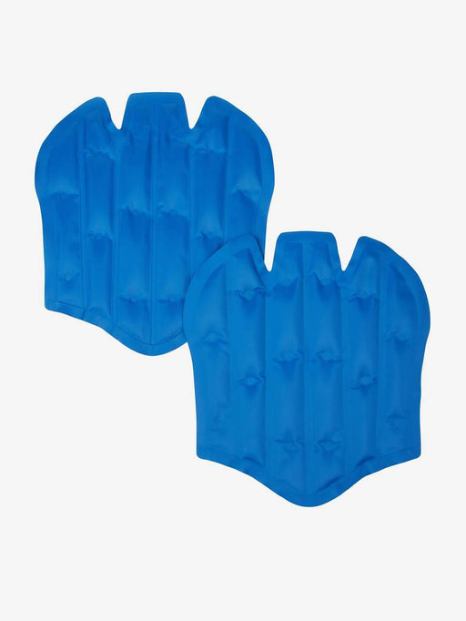 Lemieux ProIce Freeze Boot Gel Packs - One Size - Vision Saddlery