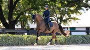 Lemieux Essence Dressage Square - NAVY - Vision Saddlery