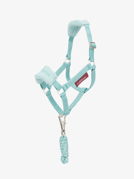 Lemieux Hobby Horse Vogue Headcollar & Leadrope VARIOUS COLOURS - Vision Saddlery