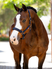 LeMieux Essence Headcollar - 3 Colours - Vision Saddlery