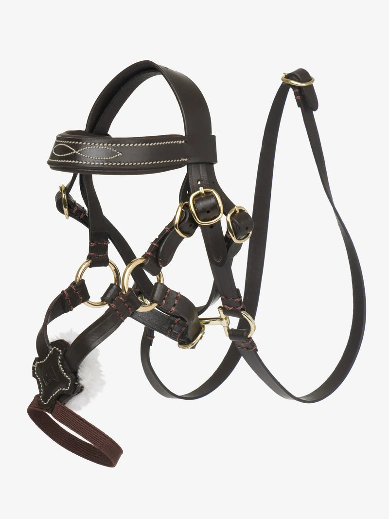 LeMieux Toy Pony Grackle Bridle - BROWN - Vision Saddlery