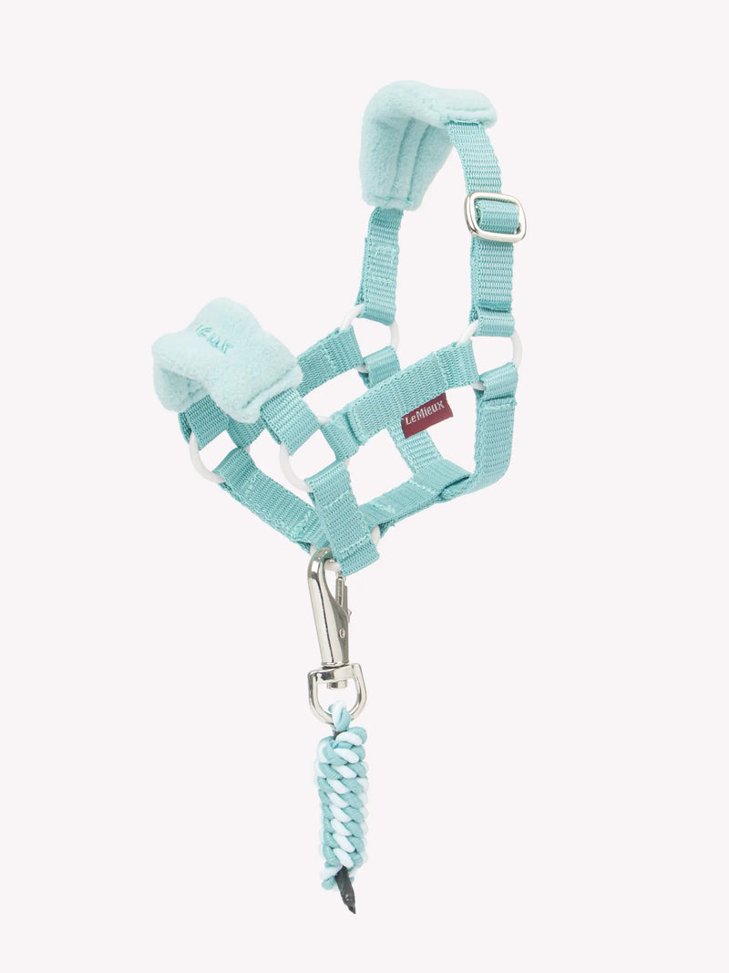 LeMieux Toy Pony Vogue Headcollar - VARIOUS COLOURS - Vision Saddlery