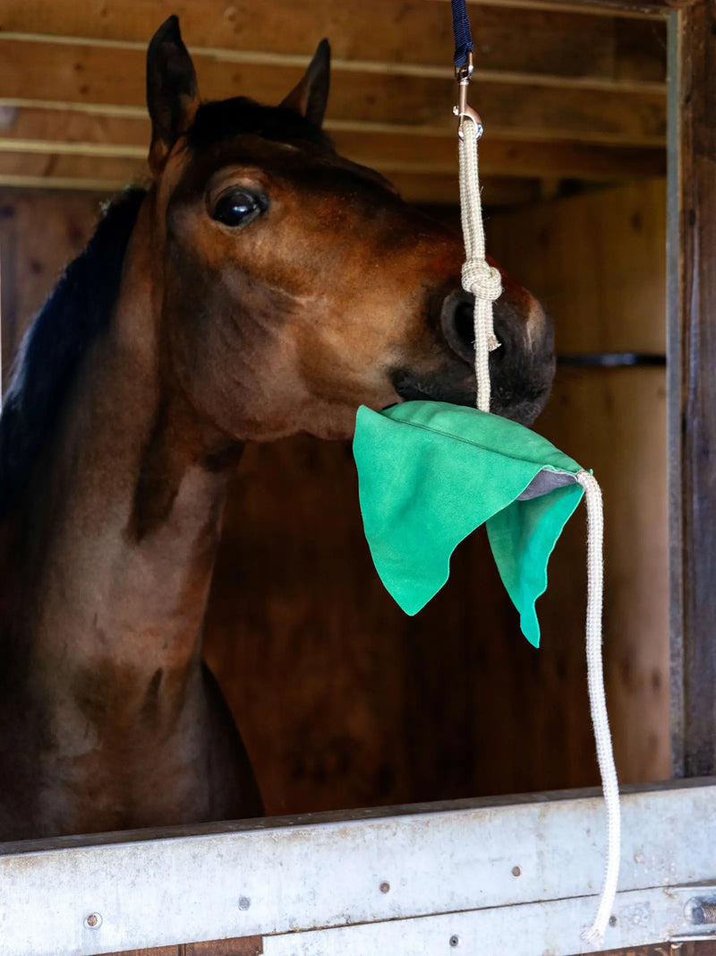 Lemieux Horse Toy - STINGRAY - Vision Saddlery