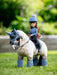 Lemieux Toy Rider Olivia - Vision Saddlery