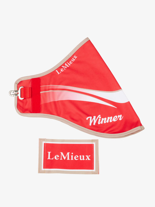 LeMieux Hobby Horse Winners Rug- RED - Vision Saddlery