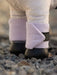 LeMieux Toy Pony Polo Bandages- VARIOUS COLOURS - Vision Saddlery
