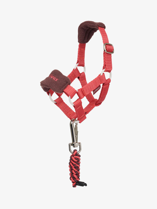 LeMieux Toy Pony Vogue Headcollar in cranberry color, soft toy horse with adjustable straps and detailed headpiece.
