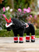 Toy Pony Christmas Set Chilli - Vision Saddlery