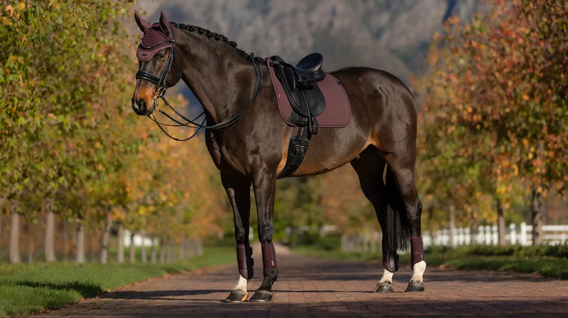 CLEARANCE LeMieux Essence Dressage Saddle Pad- Damsen