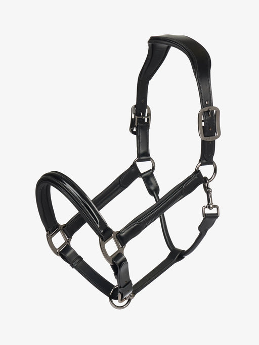 Patent Leather Halter-BLACK - Vision Saddlery