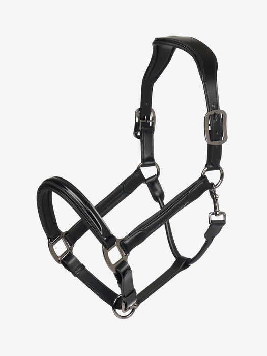 Patent Leather Halter-BLACK - Vision Saddlery