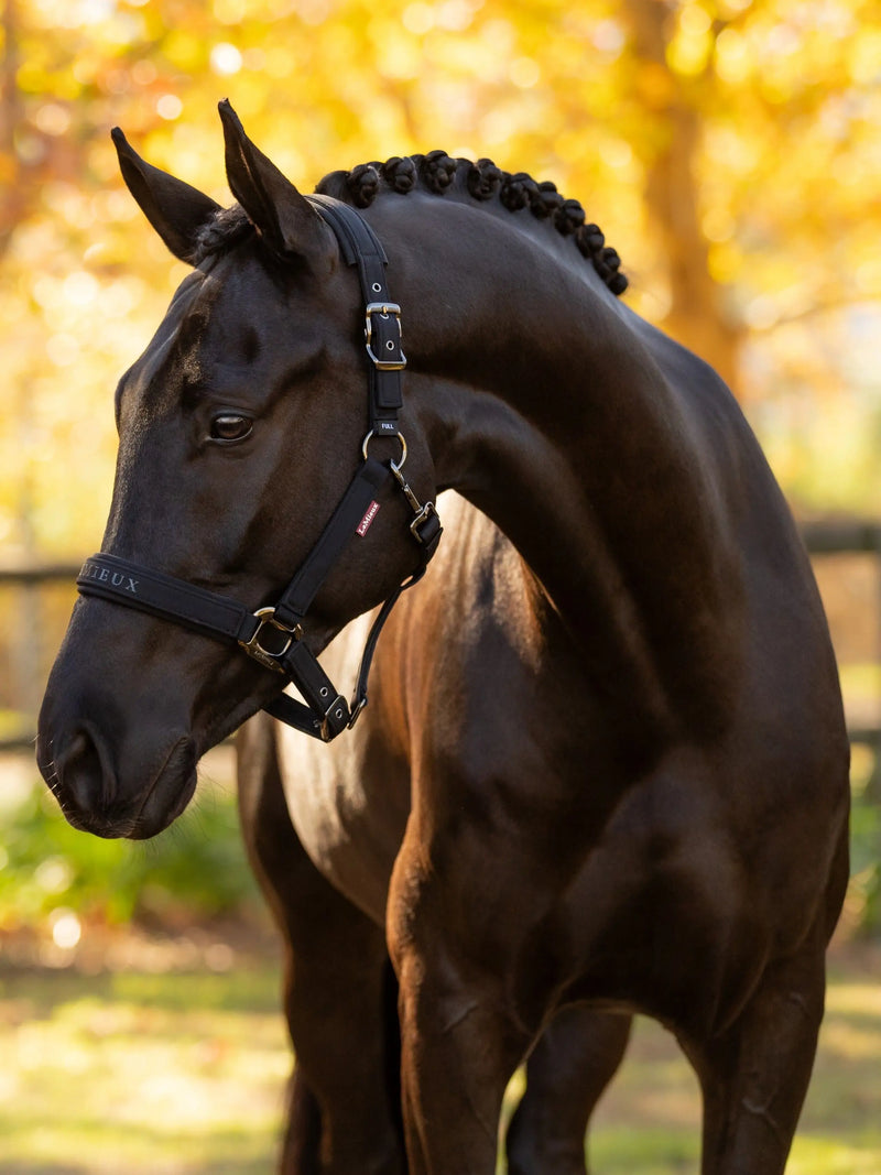 LeMieux Essence Halter-BLACK - Vision Saddlery