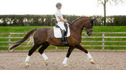 LeMieux Suede Dressage Saddle Pad White - Vision Saddlery