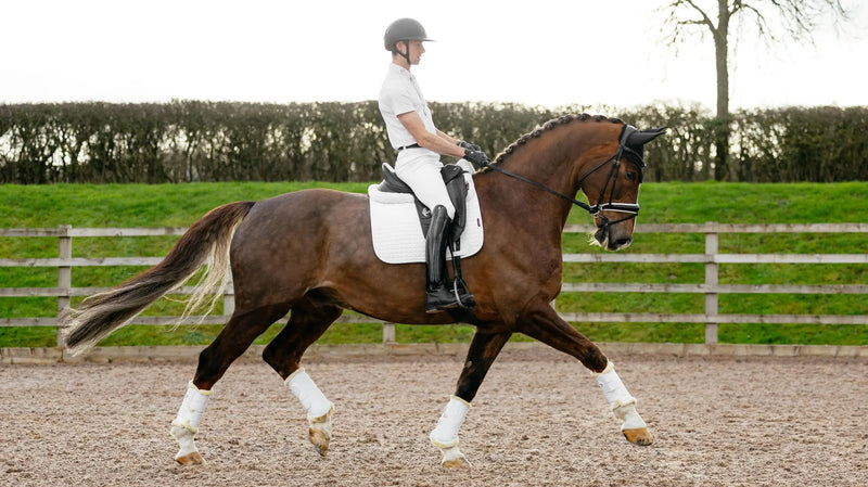 LeMieux Suede Dressage Saddle Pad White - Vision Saddlery