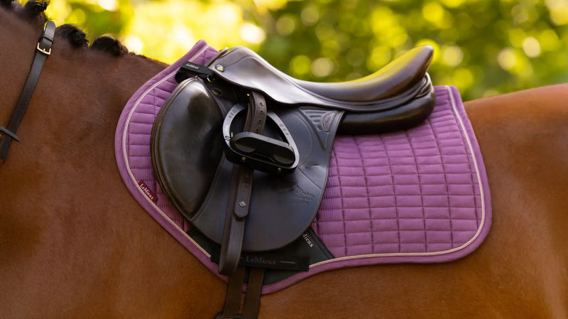 LeMieux Suede Close Contact Saddle Pad - Mallow - Vision Saddlery