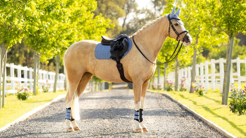 LeMieux Suede Close Contact Saddle Pad - Powder Blue - Vision Saddlery