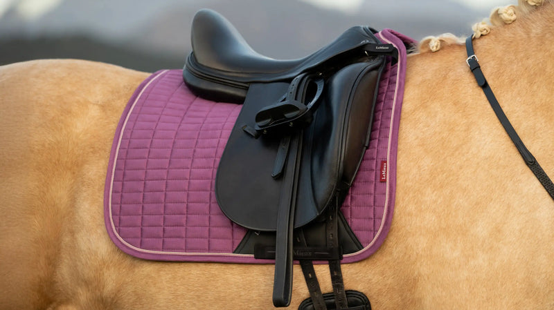 CLEARANCE LeMieux Suede Dressage Saddle Pad Mallow Large